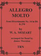 Allegro Molto Concert Band sheet music cover
